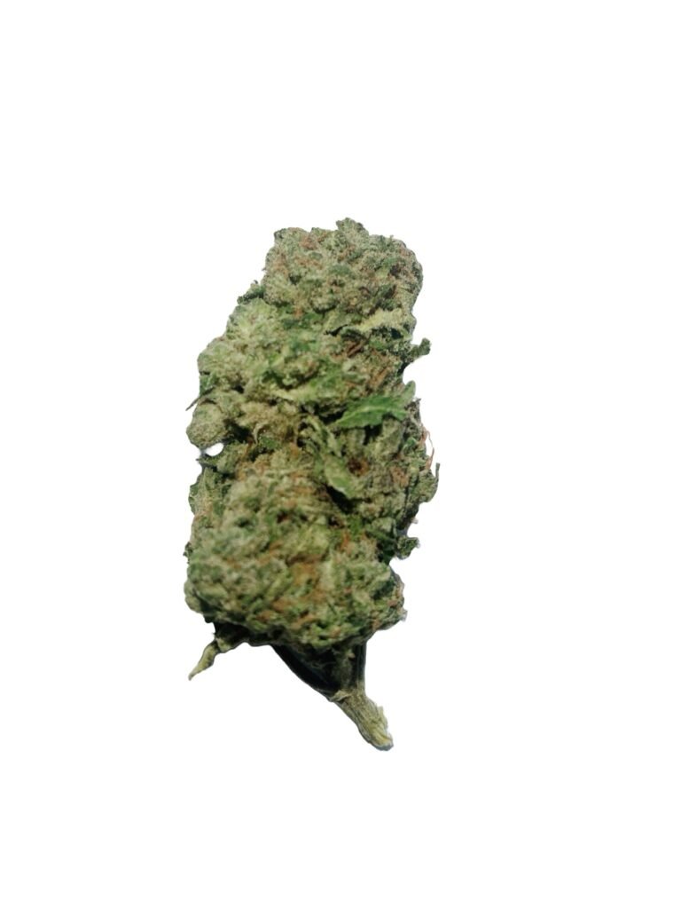 Jack herer strain AA+