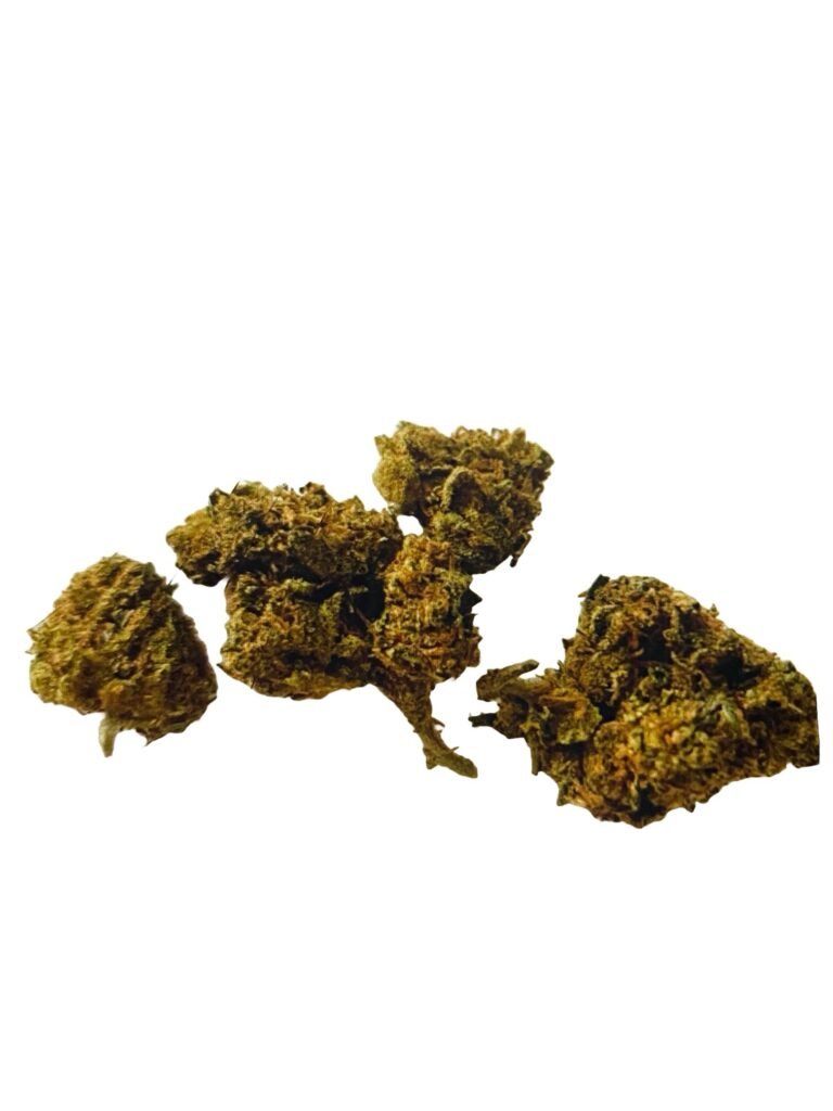 Red Congolese(Cheap oz Popcorn)